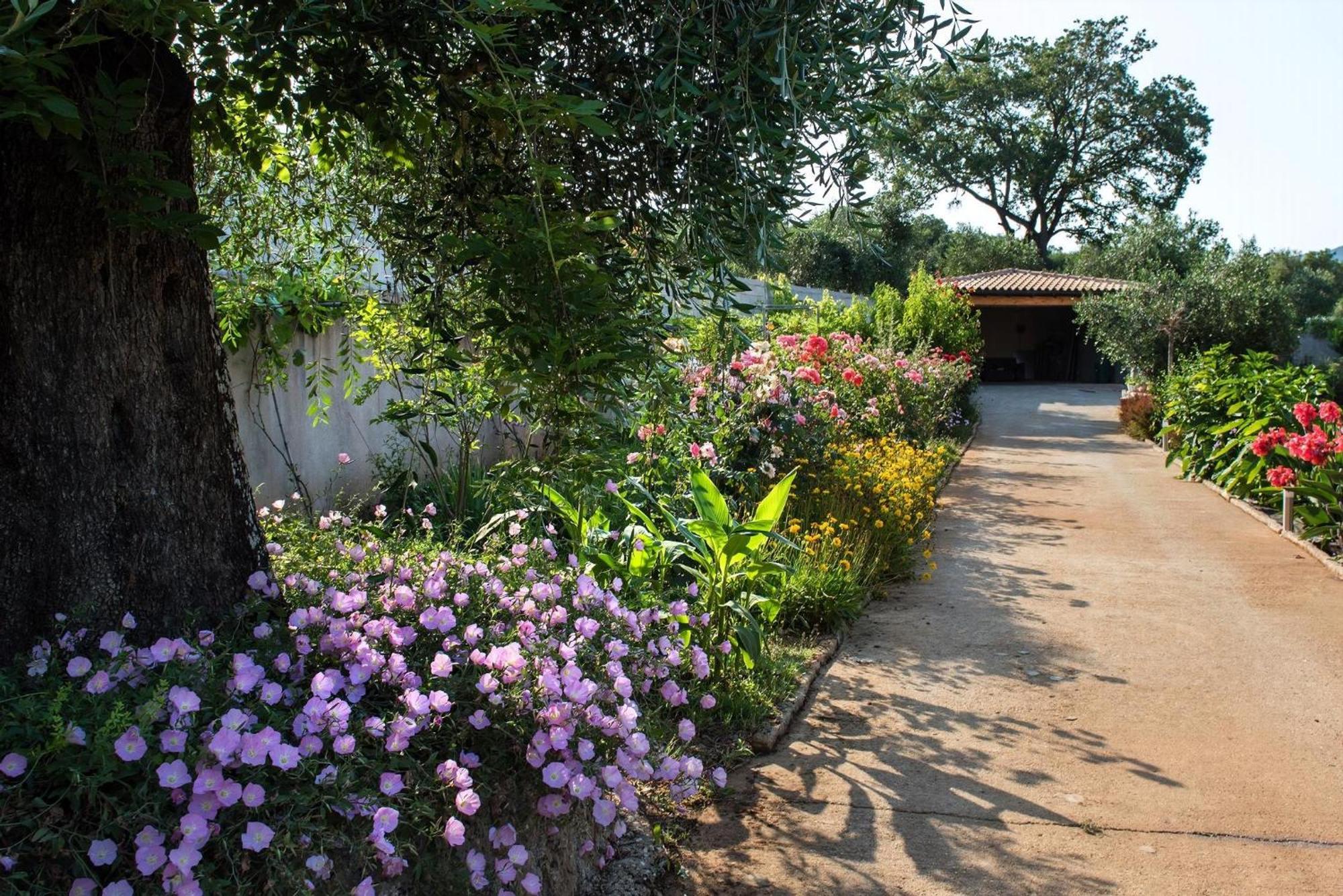 Contemporary Corfu Retreat 3 Bedrooms Girasole Artful Decor Lush Garden Tranquil Setting Dafnila